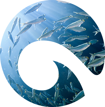 Wave with fish inside.